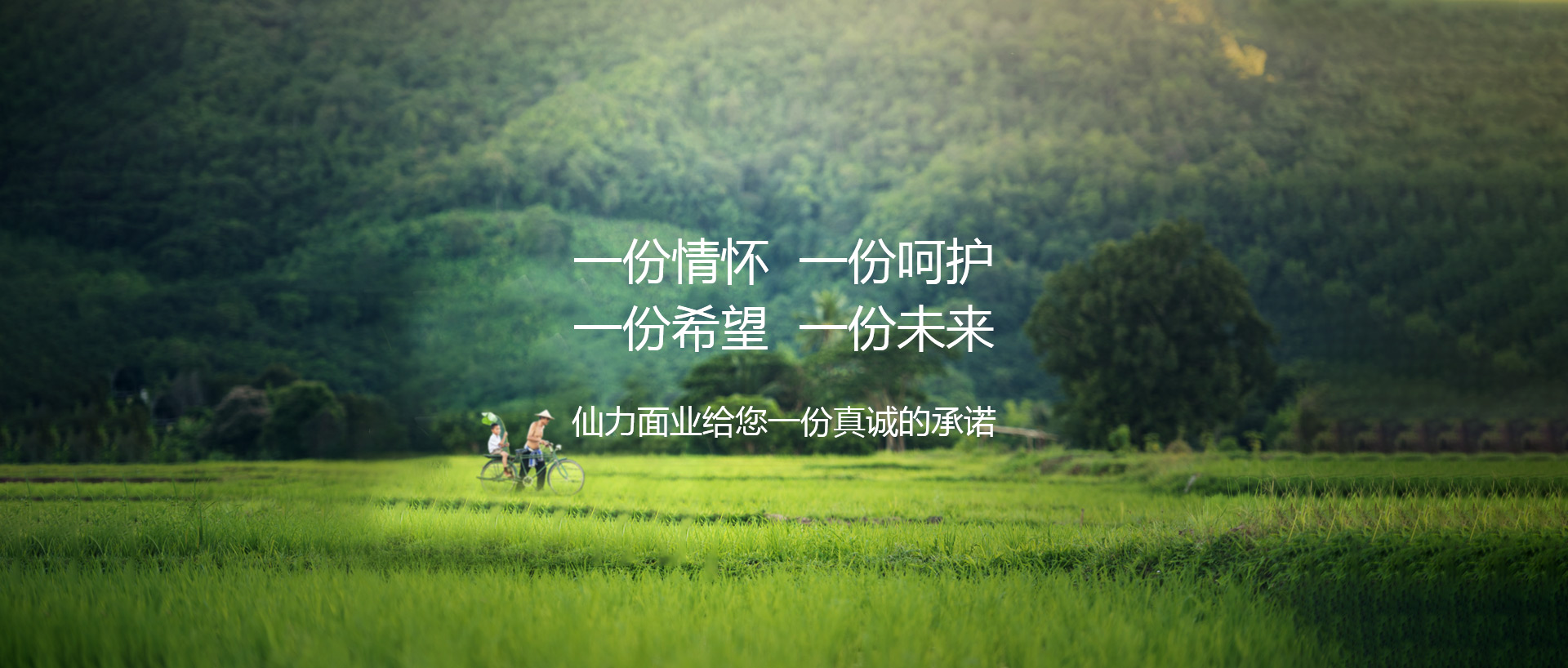 河南仙力面業(yè)有限公司